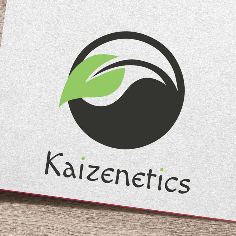 Kaizenetics_logo